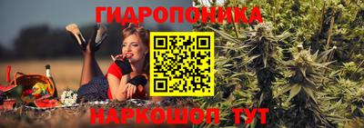 кокс Пушкино